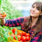 Warum ist der Sommer die perfekte Zeit, um jeden Tag Tomaten zu essen